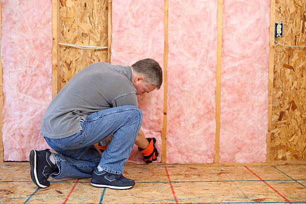 Best Blown-in Insulation  in Piedmont, AL
